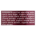 thumbnail image 3 of Clean Cause Sparkling Yerba Mate Blueberry Tea, 16 fl oz [Pack of 12], 3 of 3