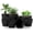 Black, variant on Utopia Home - Plant Pots Indoor with Drainage - 7/6.6/6/5.3/4.8 Inches Home Decor Flower Pots - Plastic Planters for Indoor Plants, Cactus, Succulents Pot (Spotty Mint, Pack of 5)