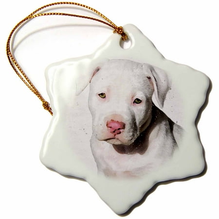 - 3dRose American Staffordshire Terrier Pit Bull Puppy Watercolor - Snowflake Ornament, 3-inch