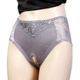 thumbnail image 2 of Lovskoo Seamless Cheeky Underwear for Women No Show Lace Panties High Waist Lace Open Transparent Mesh Panties Briefs Gift for Valentine's Day Gray, 2 of 6