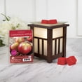 thumbnail image 4 of ScentSationals 5 oz Cinnamon Apples Scented Wax Melts, Value Size, 4 of 8