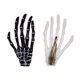 thumbnail image 2 of Pinzas para el pelo JM 4 Piezas Diseño de Manos de Esqueleto Halloween Blanco Negro, 2 of 4