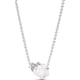 thumbnail image 1 of ROSA BLANCA, 1 of 4