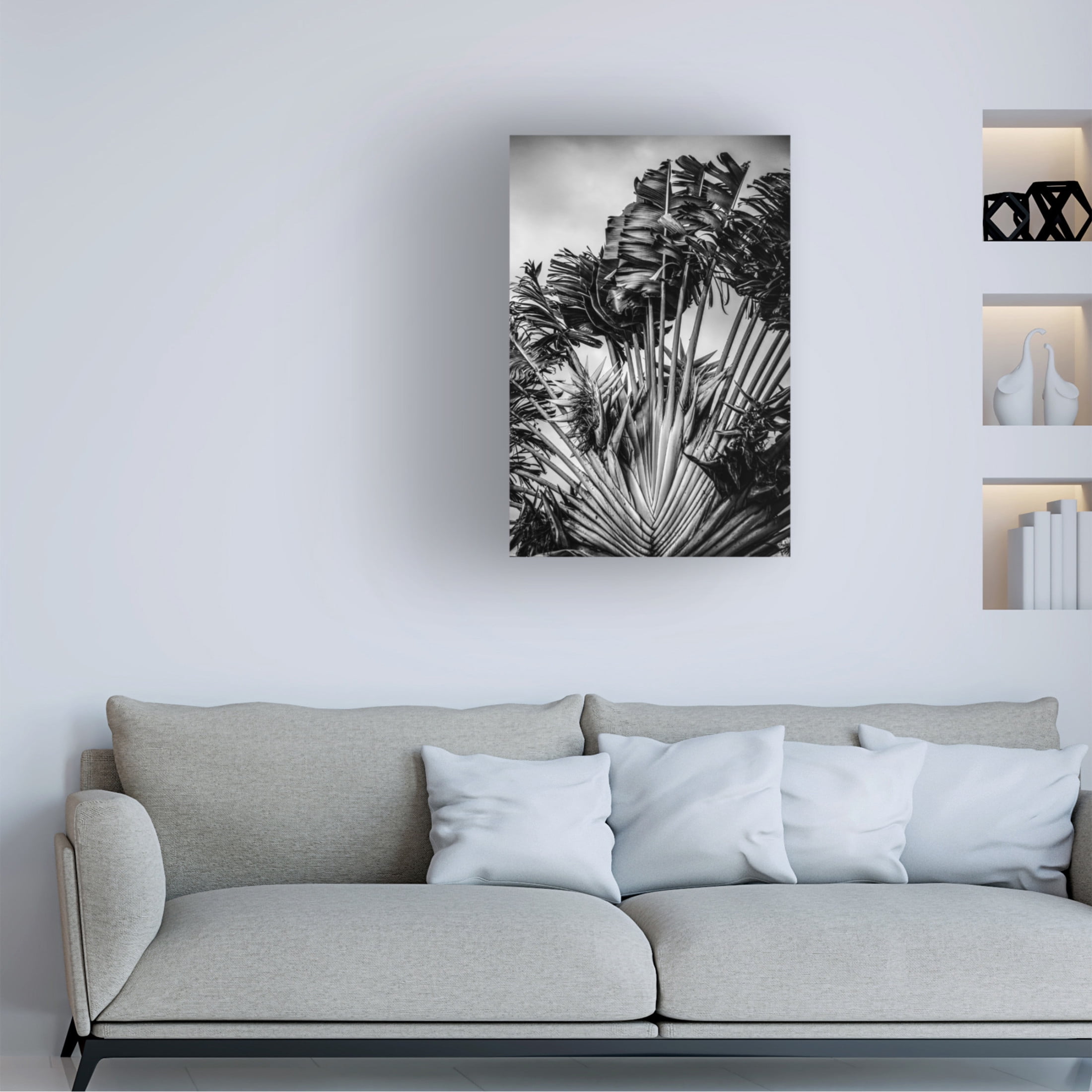 Trademark Fine Art Shot by Clint Tropical Dancer Canvas Wall Art