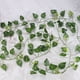 thumbnail image 4 of Enredadera artificial ratán de la selva de ratán rama trepadora para acuario de tienda de peces de reptiles ANGGREK Otros, 4 of 8