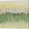 thumbnail image 2 of Great Art Now Rows of Flowers by Timothy O'Toole 2 Piece Canvas Art Set Each 14W x 14H, 2 of 3