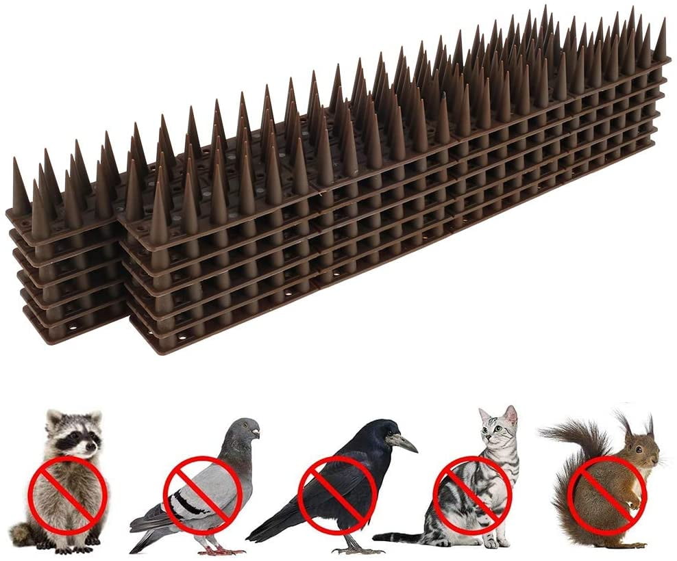 5 Metre Brown Wall Fence Spikes Anti Climb Security Cat Bird Repellent Deterrent 