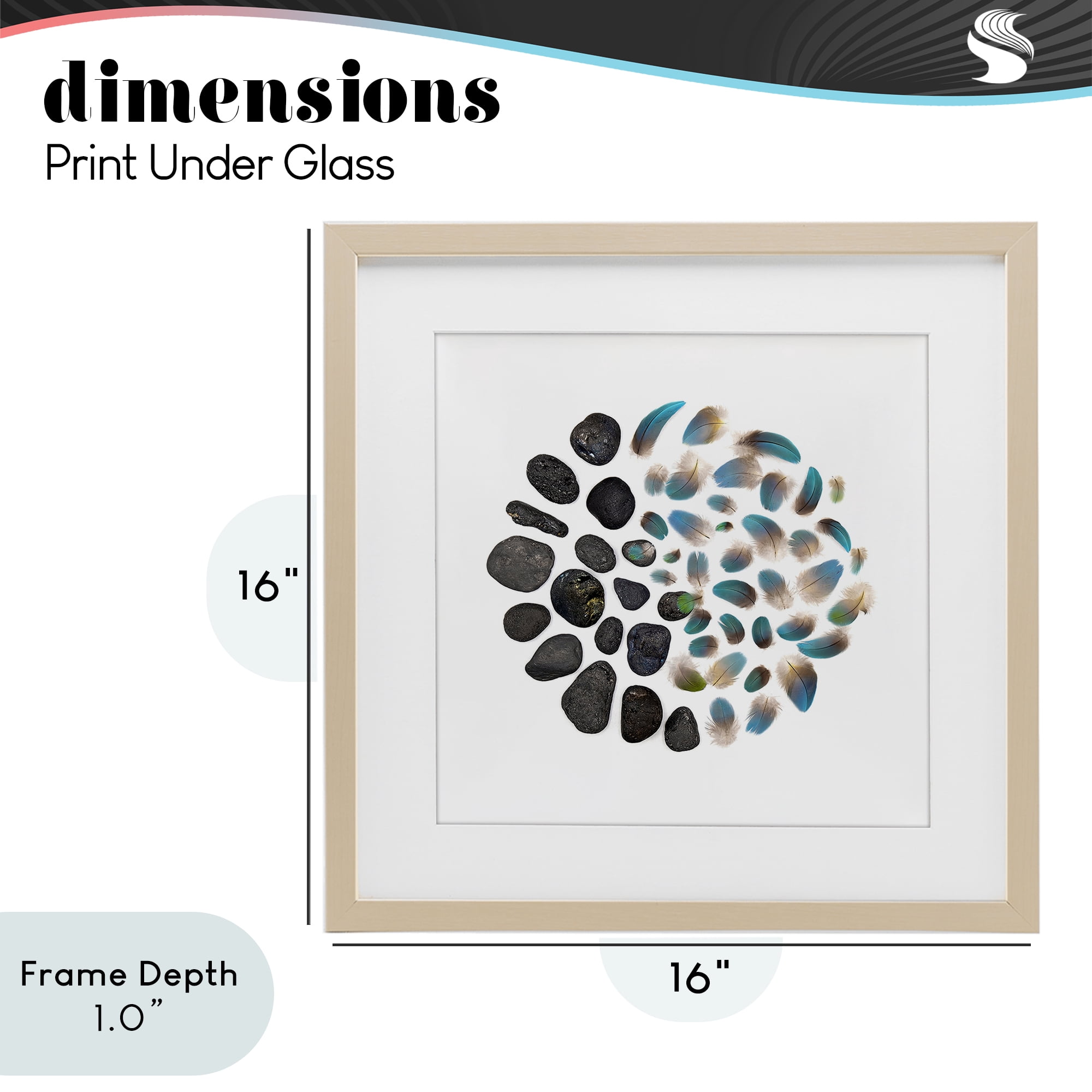 Stupell Industries Feathers & Rocks Collection Birch Framed Print Under Glass, design by Beth Adoette