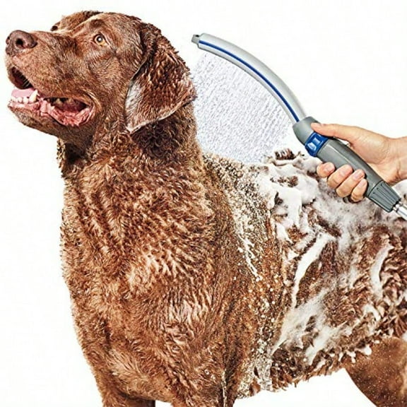 Waterpik Pet Wand Pro Dog Shower Attachment for Fast and Easy Dog Bathing and Cleaning Indoor and Outdoor Sprayer Includes 8Foot Flex Hose Blue/Grey PPR252E