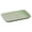 Green, variant on Large Rectangular Plastic Serving Tray, Versatile for Hot Pot, BBQ, Cheung Fun & Fruit Platters