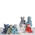 thumbnail image 2 of Juguete Soft Snuggle Mary Meyer Lovey para Babies Again Friends, 2 of 3