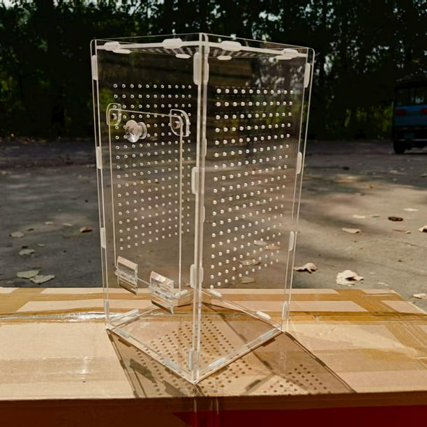 Terrario acrílico para , comedero, caja de eclosión, transparente, transpirable, contenedor profesional, jaula de hábitat para animales.