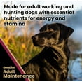 Dry Dog Food With Glucosamine And Chondroitin Super Premium Dog Food – Realtree Edge Energy Dry Dog Food for Highly