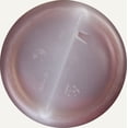 thumbnail image 6 of Musselmans Non-Gmo Pure Apple Cider Vinegar, 128 Fluid Ounce -- 4 per Case., 6 of 9
