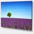 thumbnail image 2 of Green Tree among Lavender Flowers - Oversized Landscape Wall Art Print, 2 of 3