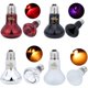 thumbnail image 2 of 1PC 4 Kinds of Pet Heating Lamp UVA Day Night Amphibian Snake Lamp Heat Reptile Bulb Light 220-230V 25W 50W 60W 75W 100W25W He Qiyong unisex, 2 of 2
