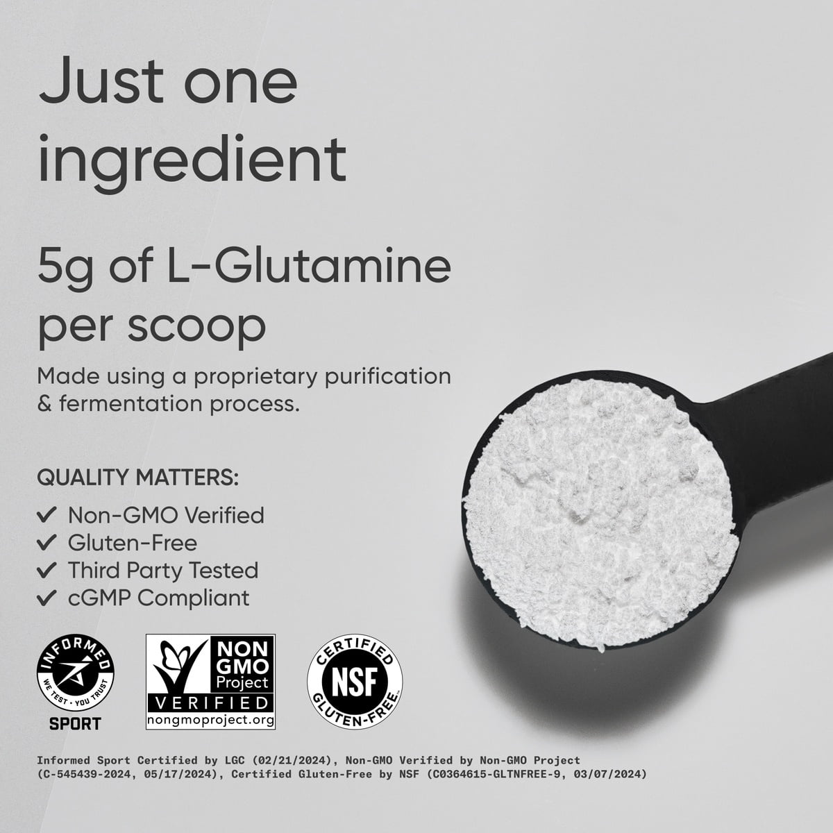 Sports Research® SR L-Glutamine Workout Recovery Immune Health Gut Health IBS 5g Per Serving