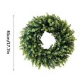 thumbnail image 2 of 18 Inch Boxwood Front Door Wreaths, Spring and Summer Outdoor Wreath for Front Door, All Seasons Artificial Green Wreath for Farmhouse Wedding Porch Wall St Patricks Day Indoor Decorations, 2 of 5