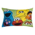 thumbnail image 4 of Sesame Street Come and Play 2 Piece Toddler Sheet Set, 4 of 9