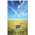thumbnail image 2 of Antelopes Wandering under Bright Sky - African Canvas Art Print, 2 of 3