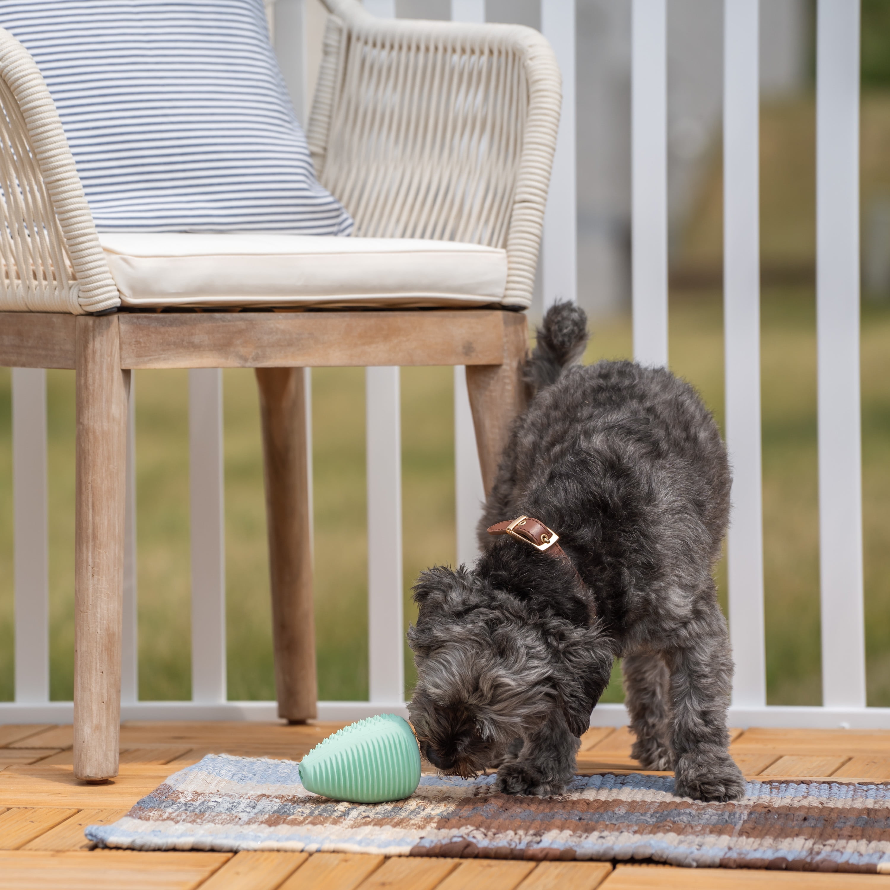 Chew King By Mammoth Dental Dog Toy Collection, Treater Clinically Proven to Remove Plaque