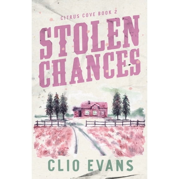 Stolen Chances: A Single Mom, MMF, Small Town Romance Suspense, (Paperback)
