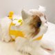 thumbnail image 3 of Cat Harness and Leash Set Escape Proof Kitten Harness, Adjustable Cat Vest Harness Stylish Breathable Pet HarnessM, 3 of 5