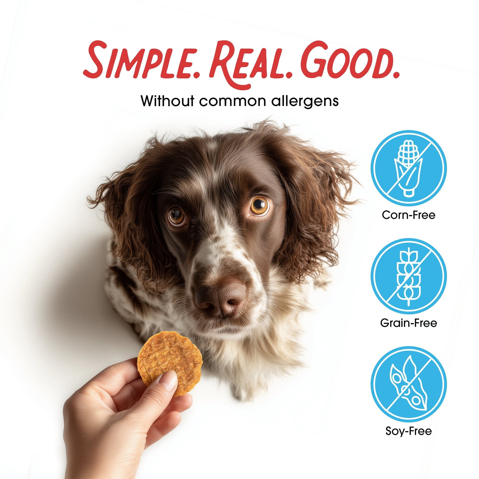 Farmland Traditions Dogs Love Chicken Jerky Dog Treats with Only 3 Ingredients and No Fillers, 2 Pound Bag