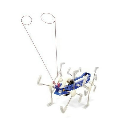 Kikkerland MxyKikker Windup, Colors may Vary