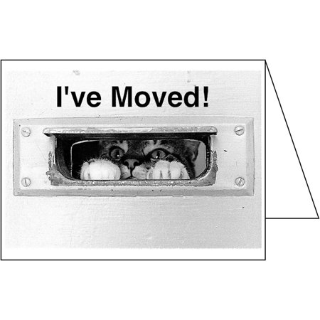 Change of Address GREETING CARDS, I've Moved! (Pack of 10 Cards & 10 Envelopes) Moving Announcements FN4586CAS