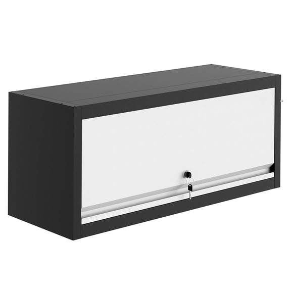 Rugerasy Heavy-Duty Steel Wall Mounted Storage Cabinet with Lock,Dual Hydraulic Rods,Garage Wall Cabinet for Office,Kitchen,Black gray