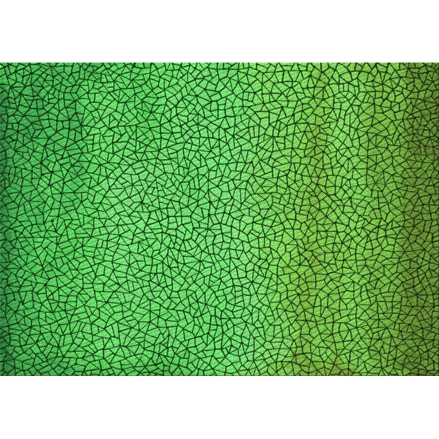 Ahgly Tapis Rectangulaire Lavable en Machine Vert Transitionnel, 2 Pieds x 4 Pieds
