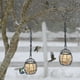thumbnail image 1 of Comedero Colgante para Pájaros para Exteriores, Paquete de 2, Comedero de Primavera para Jardín con Diseño Transparente para Facilitar La Observación de Aves y El Control de Alimentos., 1 of 7