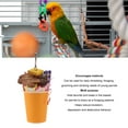 thumbnail image 4 of Colorful Bird Chewing Shredding Foraging Toys Encourage Instincts for Small Medium  Birds Bird Shredding Foraging Toys Bird Foraging Toys Bird Toys Bird Shredded Paper Toys B, 4 of 7