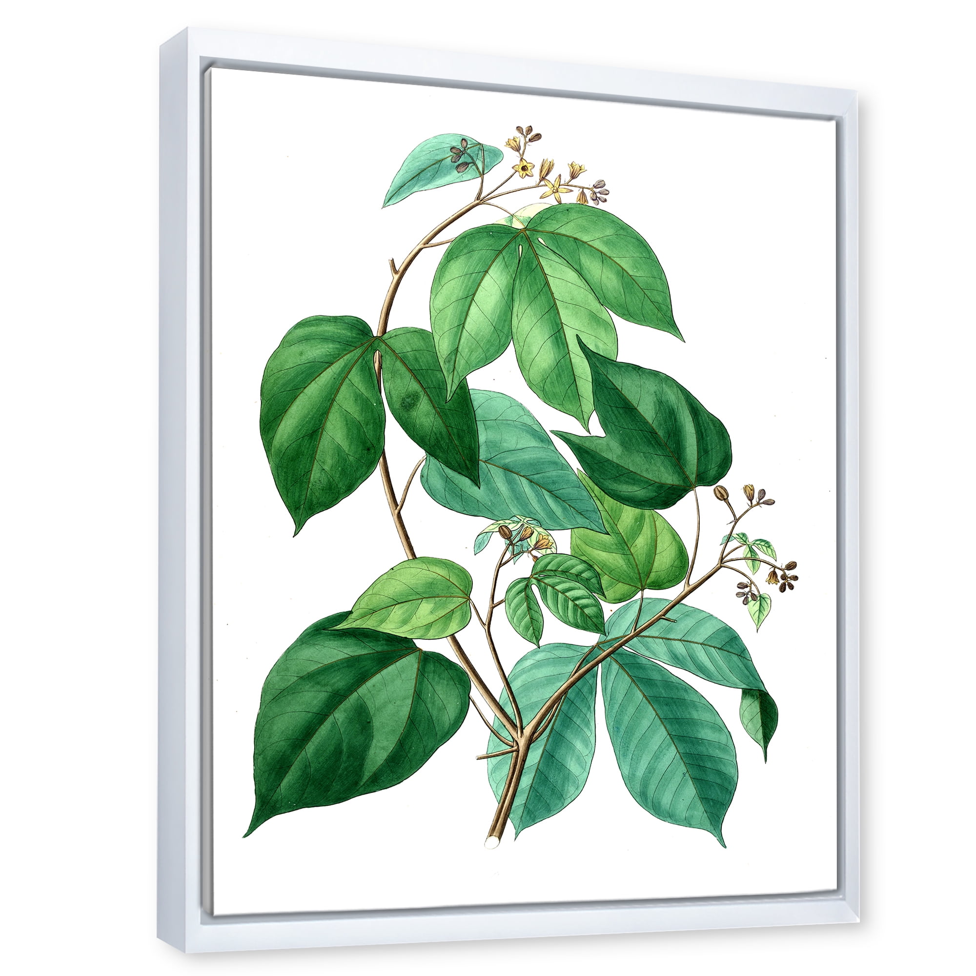 Designart 'Ancient Green Leaves Plants III' Traditional Framed Canvas Wall Art Print