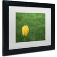 thumbnail image 2 of Trademark Fine Art "A Lone Yellow Tulip 2" Canvas Art by Kurt Shaffer, White Matte, Black Frame, 2 of 4