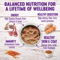 thumbnail image 3 of Wellness Wet Canned Dog Food, Pate Variety Pack, 12.5 Ounce Can (Pack of 6), 3 of 8