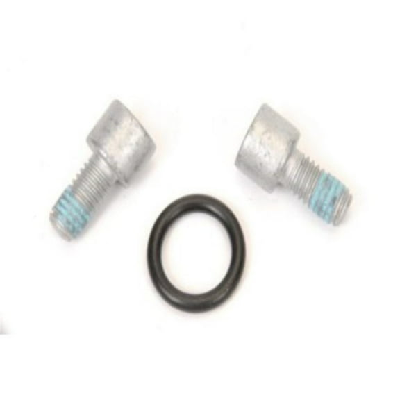 KarParts360 For GMC Terrain 2018 2019 2020 2021 Parking Brake Shoe Set | Rear
