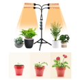 thumbnail image 4 of Moyic Luz de cultivo con soporte Luz de planta de espectro completo Luces de cultivo para plantas de interior Luz de cultivo con soporte de trípode Iluminación y accesorios Moyic HA036033-00, 4 of 6