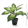 thumbnail image 3 of CasaVibe Planta Artificial Altamente Realista de 12.6 Pulgadas Evergreen en Maceta de Plástico Verde, 3 of 9
