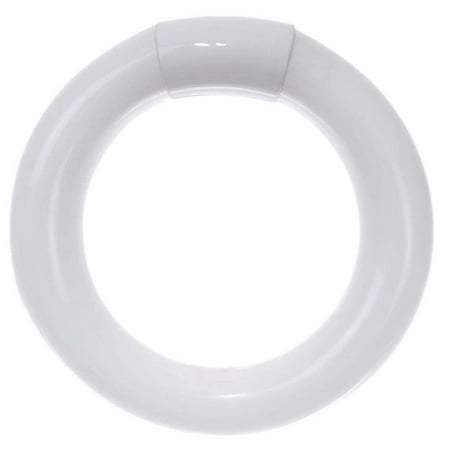 Sunlite 05009 - FC6T9/CW 05009-SU Circular T9 Fluorescent Tube Light Bulb