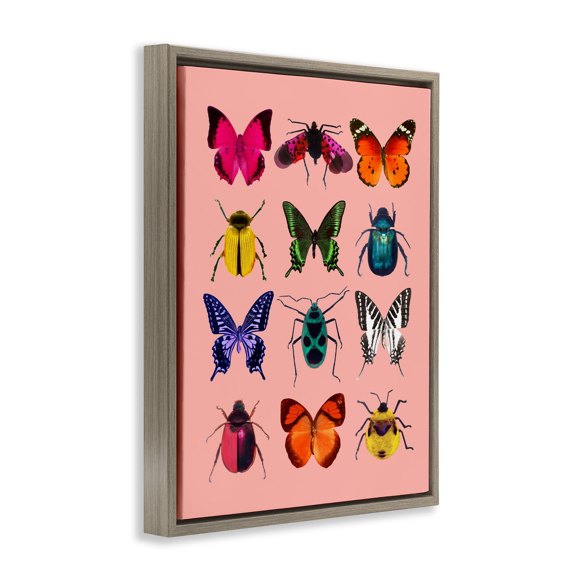 Colorful Bug Species on Pink Brown Framed Floater Canvas Wall Art, design by LISH Creative
