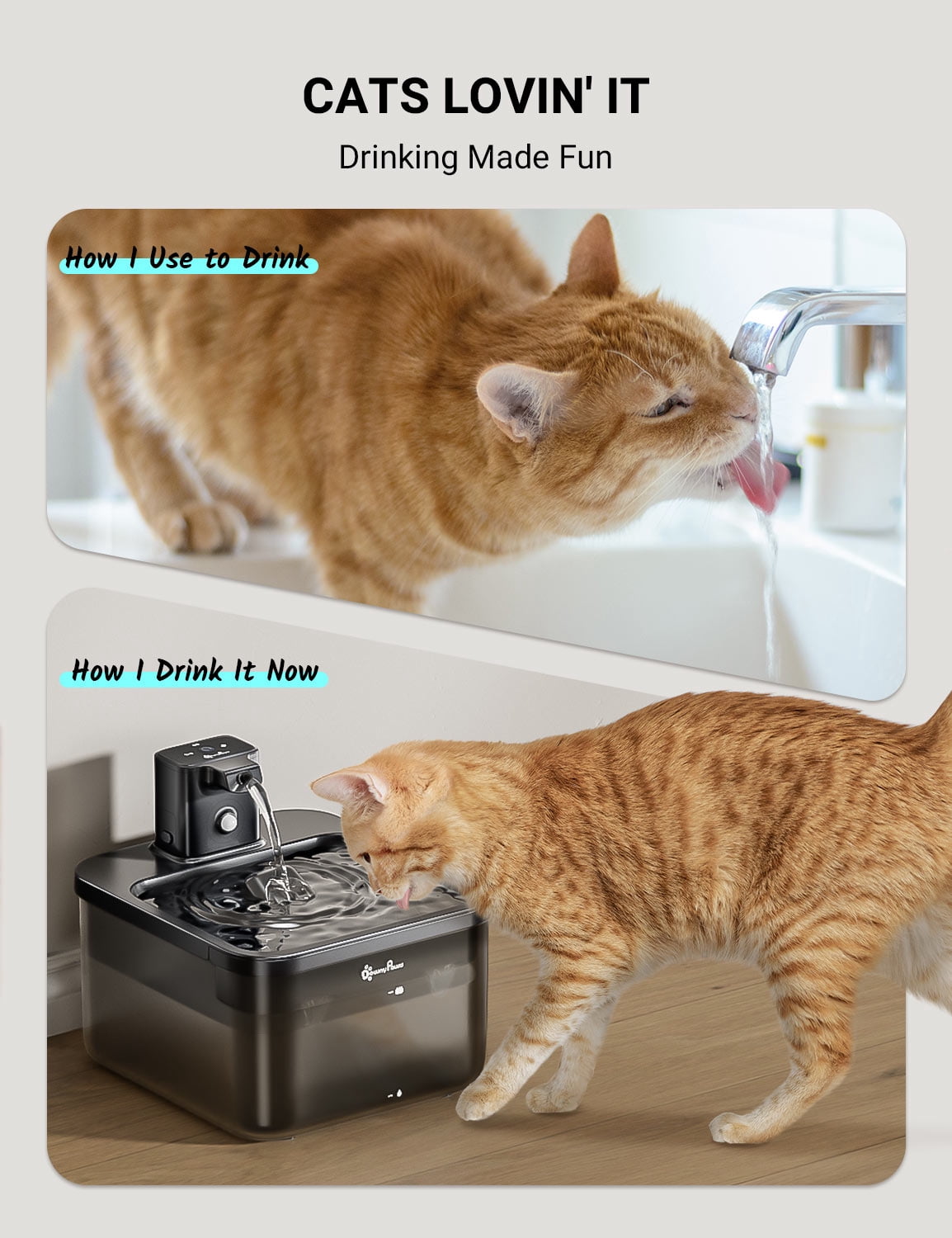 DownyPaws Wireless Cat Water Fountain Black