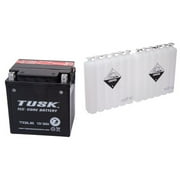 Tec-Core Battery with Acid TTX30L-BS Maintenance-Free for Harley-Davidson Road King Custom FLHRS/I 2004-2007