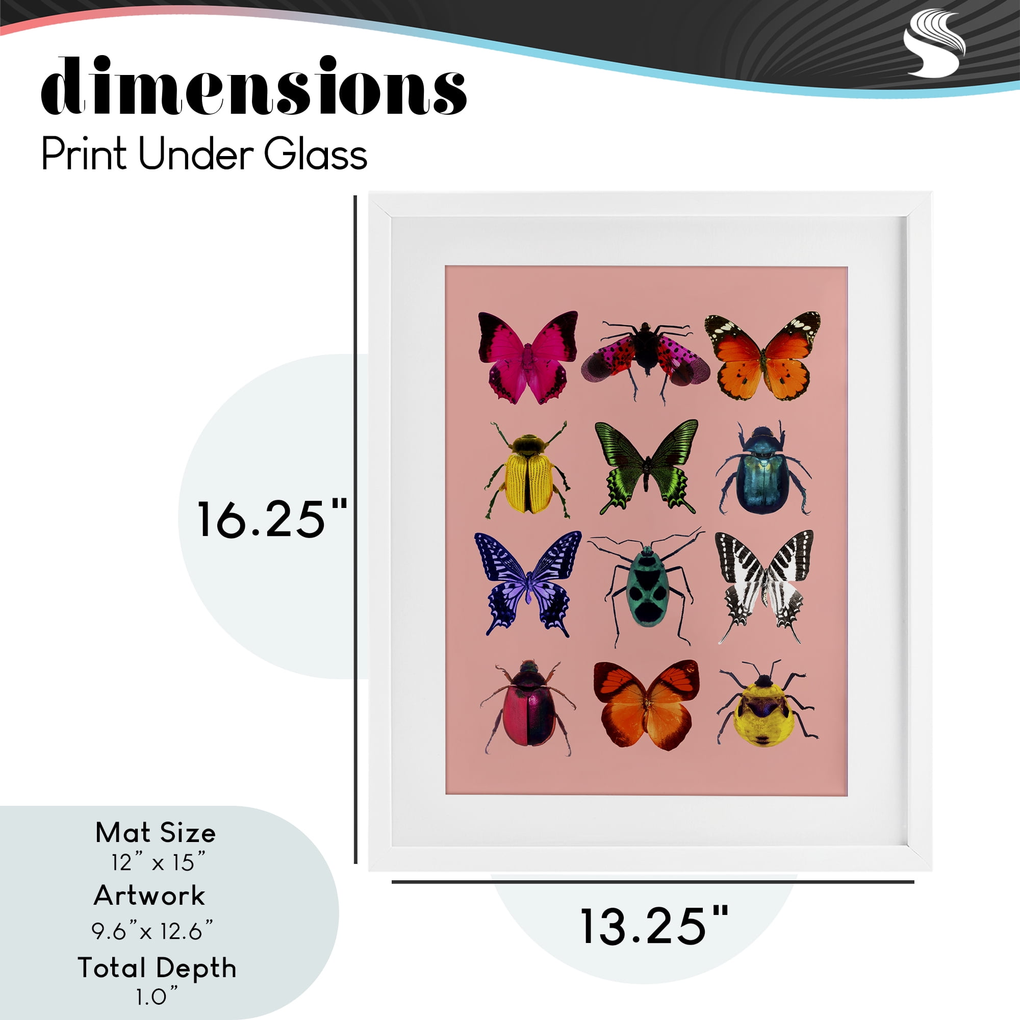 Colorful Bug Species on Pink White Framed Print Under Glass, design by LISH Creative