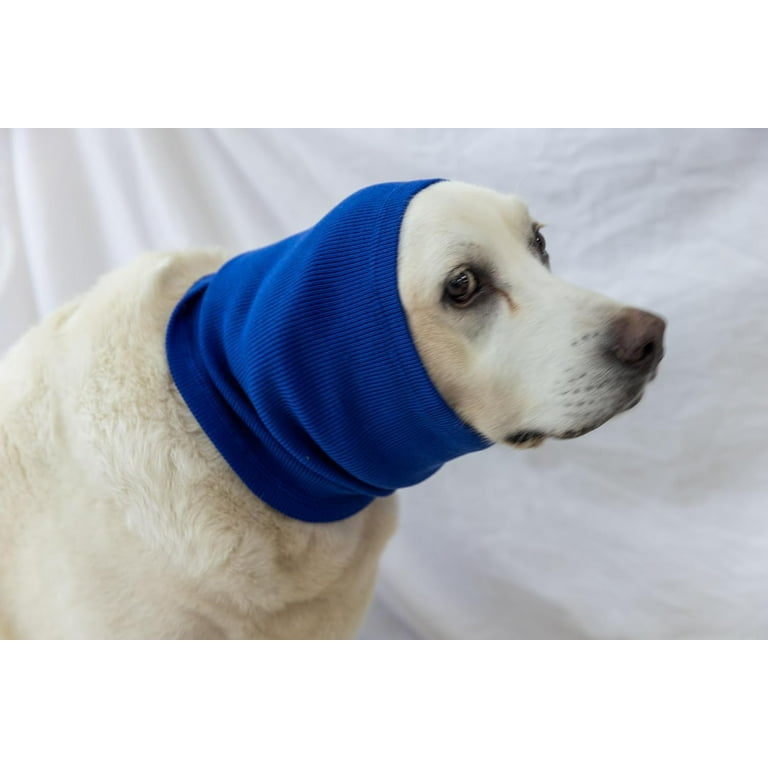 Dog ear hematoma head wrap online