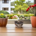 thumbnail image 3 of Cactus Pot Cement Planter for Indoor Plants with Drainage Hole for Desktop and Windowsill 1Pack, 3 of 3