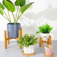 thumbnail image 5 of Frcolor Plant Stand Flower Rack Pot Wood Display Potted Holder Planter Ladder Bonsai Stool, 5 of 7