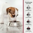 thumbnail image 5 of Dr. Pol Incredi-Pol Favorites Beef and Brown Rice Recipe Dog Food - 6lb, 5 of 8