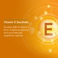 thumbnail image 3 of NutriCology Vitamin E Succinate - 400 IU d-Alpha-Tocopheryl Succinate - Antioxidant & Energy Support - Dry Powder Vegetarian Capsules - Hypoallergenic Formula - 100 Servings - 100 Capsules, 3 of 6